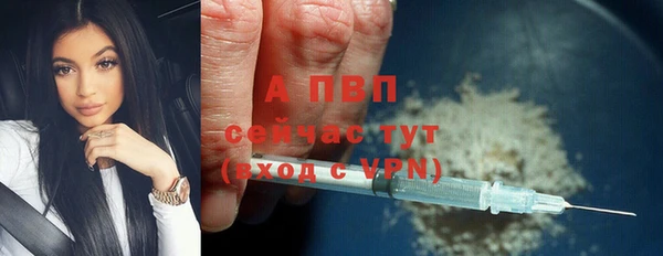 ECSTASY Балахна