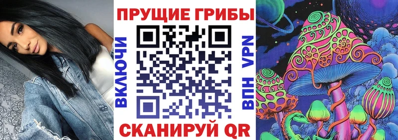 Псилоцибиновые грибы ЛСД Стародуб